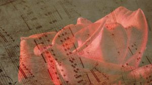 „Vom Zauber der Operette“