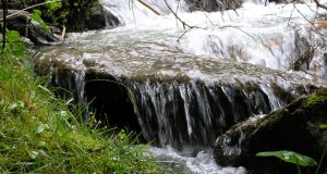 Das Wasser des Lebens