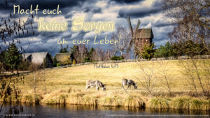 Macht euch keine Sorgen um euer Leben!