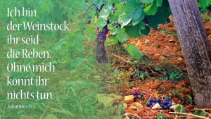 Ich bin der Weinstock